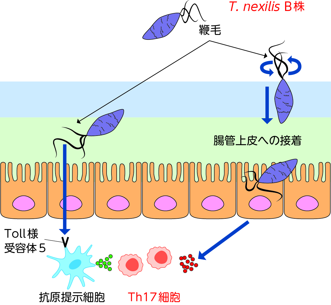 発達障害の臨床 障害児の発達臨床 (1) | 宇佐川 浩 |本 | 通販 | Amazon